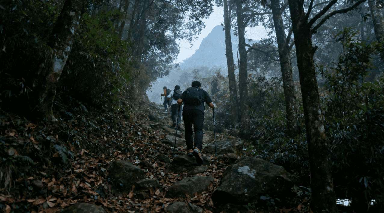 快喵加速器免费VPN使用教程与详细操作指南